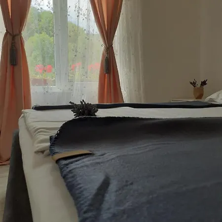 Agroturism Casa Bori * Gura Humorului