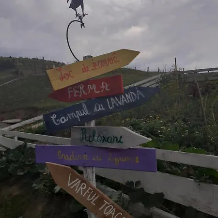 Farm stay Agroturism Casa Bori Gura Humorului