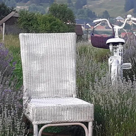 Agroturism Casa Bori Farm stay *