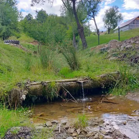 Farm stay Agroturism Casa Bori *