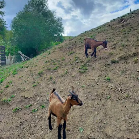 Agroturism Casa Bori